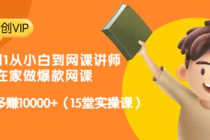 从0到1从小白到网课讲师：在家做爆款网课，每月多赚10000+（15堂实操课）