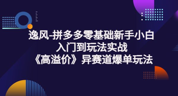 拼多多零基础新手小白入门到玩法实战《高溢价》异赛道爆单玩法实操课