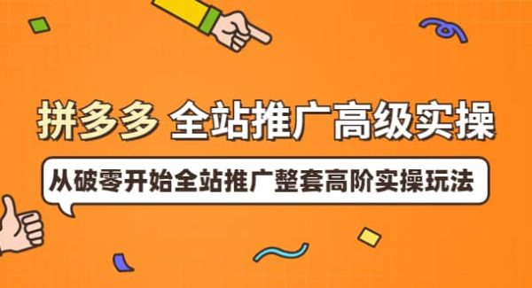 拼多多全站推广高级实操：从破零开始全站推广整套高阶实操玩法