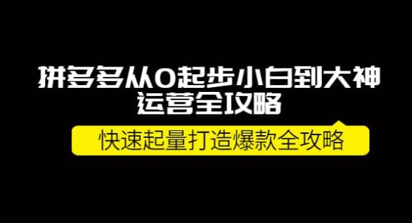 拼多多从0起步小白到大神运营全攻略