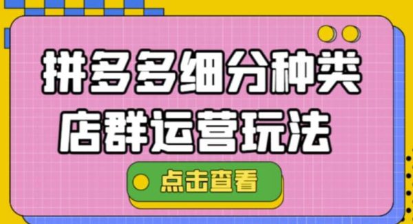 拼多多细分种类店群运营玩法3.0，11月最新玩法，小白也可以操作