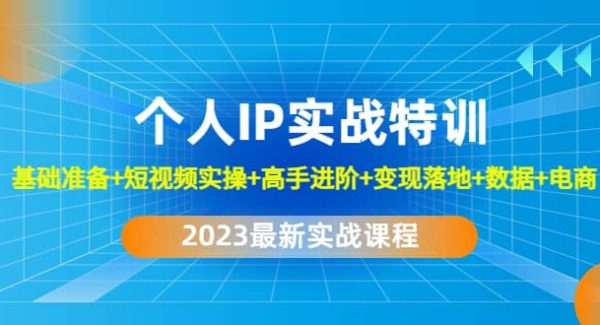 2023个人IP实战特训：基础准备 短视频实操 高手进阶 变现落地 数据 电商