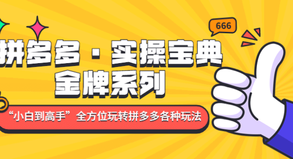 拼多多·实操宝典：金牌系列“小白到高手”带你全方位玩转拼多多各种玩法