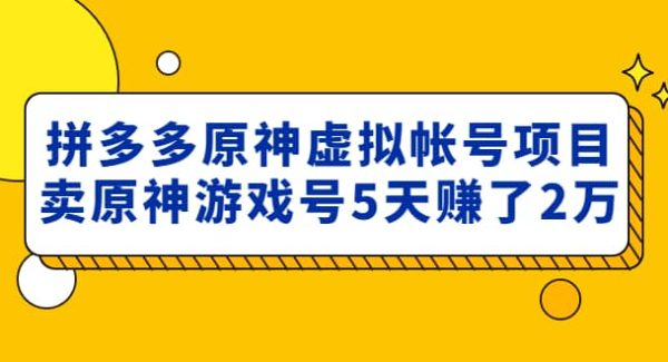 外面卖2980的拼多多原神虚拟帐号项目