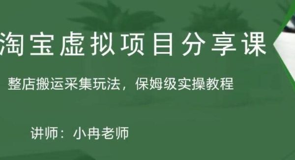 淘宝虚拟整店搬运采集玩法分享课：整店搬运采集玩法，保姆级实操教程