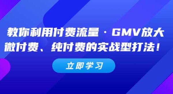 教你利用付费流量·GMV放大，微付费、纯付费的实战型打法