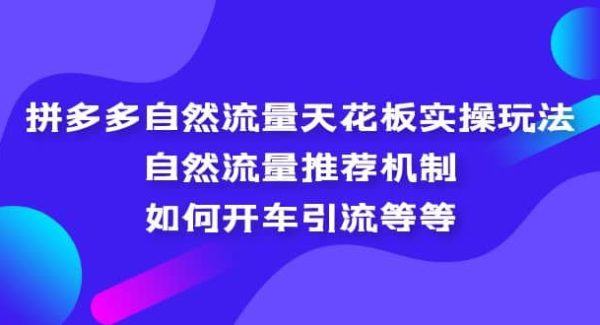 拼多多自然流量天花板实操玩法：自然流量推荐机制，如何开车引流等等