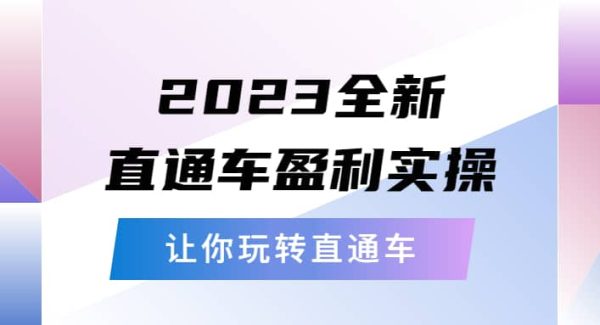 2023全新直通车·盈利实操：从底层，策略到搭建，让你玩转直通车