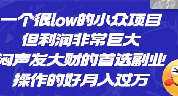 一个很low的小众项目，但利润非常巨大，闷声发大财的首选副业，月入过万