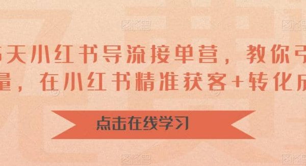 16天-小红书 导流接单营，教你引爆流量，在小红书精准获客 转化成交