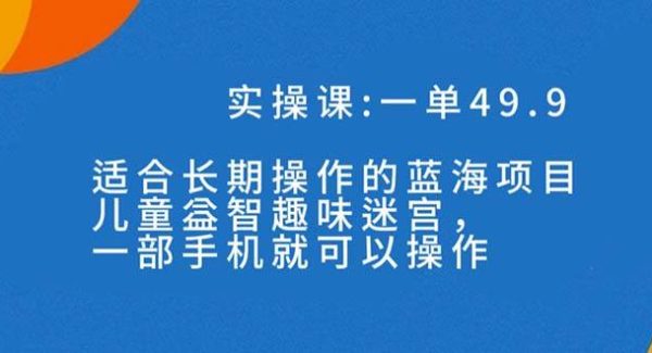 一单49.9长期蓝海项目，儿童益智趣味迷宫，一部