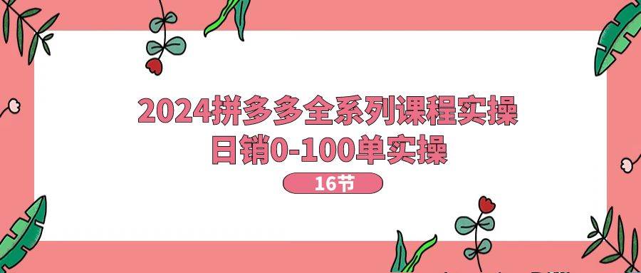 2024拼多多全系列课程实操，日销0-100单实操【16节课】