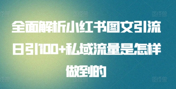 全面解析小红书图文引流日引100私域流量是怎样做到的