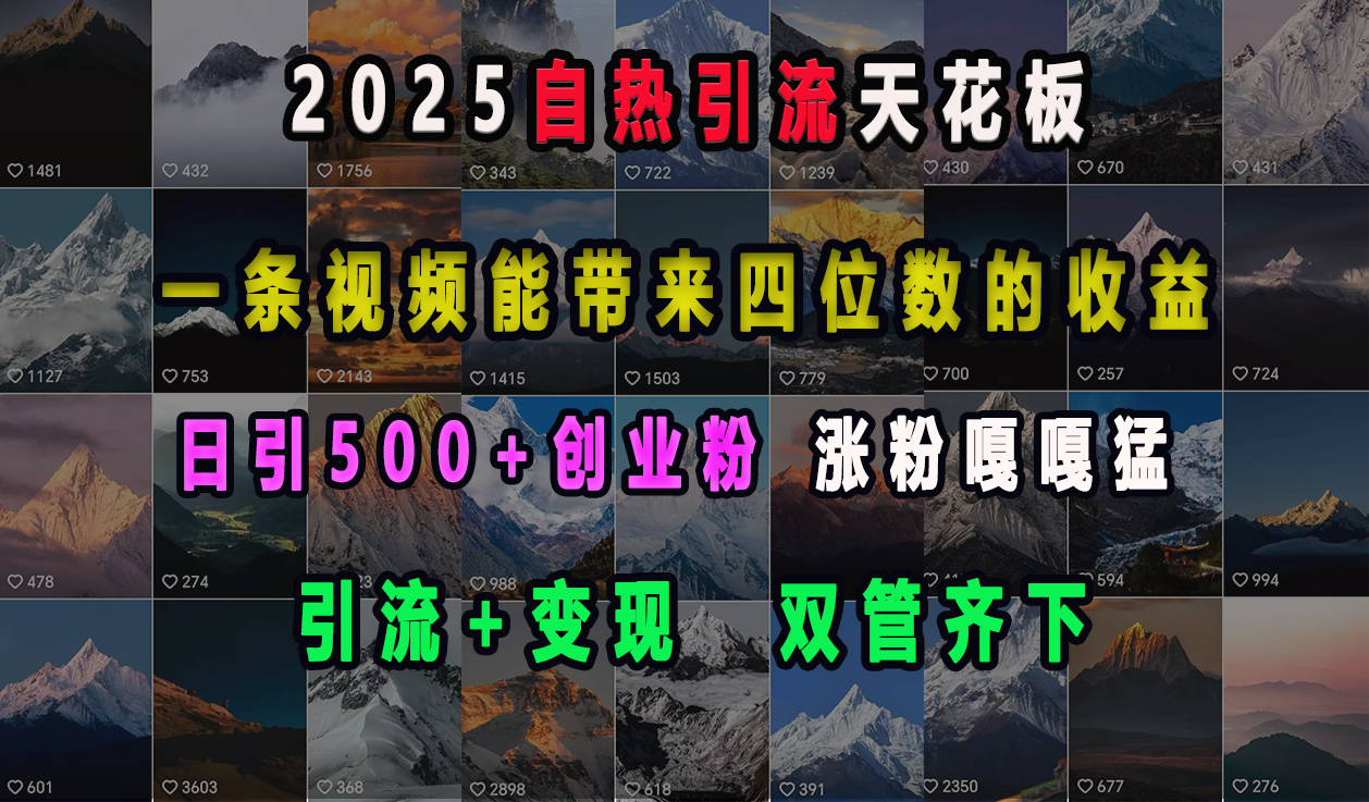 2025自热引流天花板，一条视频能带来四位数的收益，引流+变现双管齐下，日引500+创业粉，涨粉嘎嘎猛